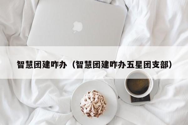 智慧團建咋辦(智慧團建咋辦五星團支部)